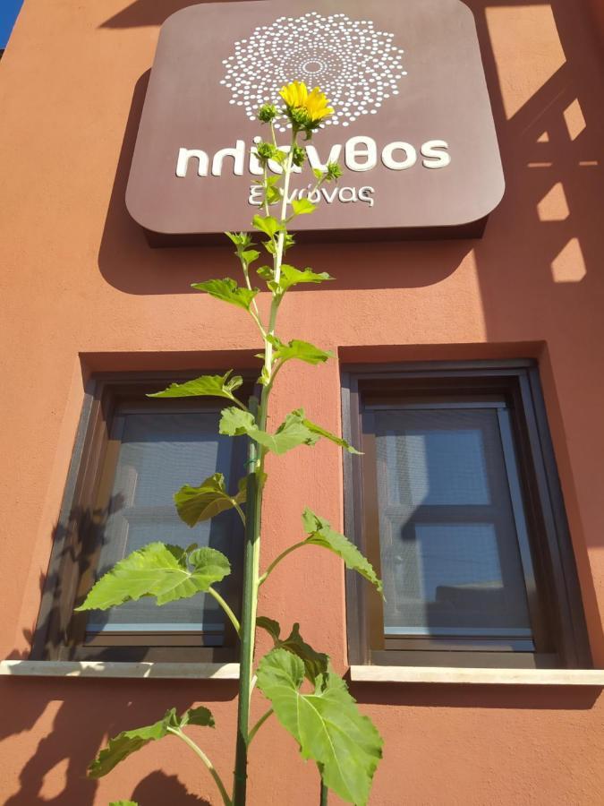 Helianthus Guesthouse Ammouliani Esterno foto